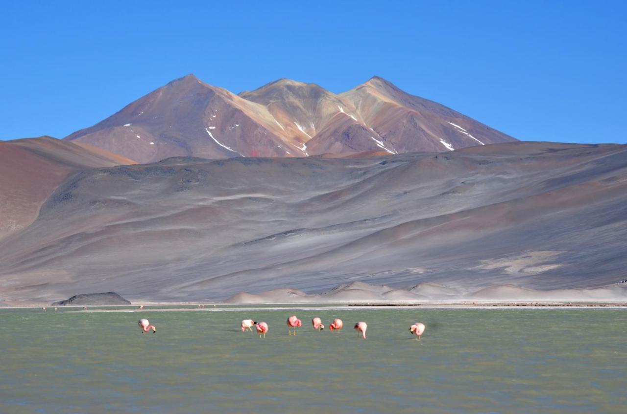 Hotel Ckuri Atacama San Pedro De Atacama Esterno foto